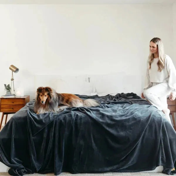 Factory Sale: Original Stretch™ Blanket
