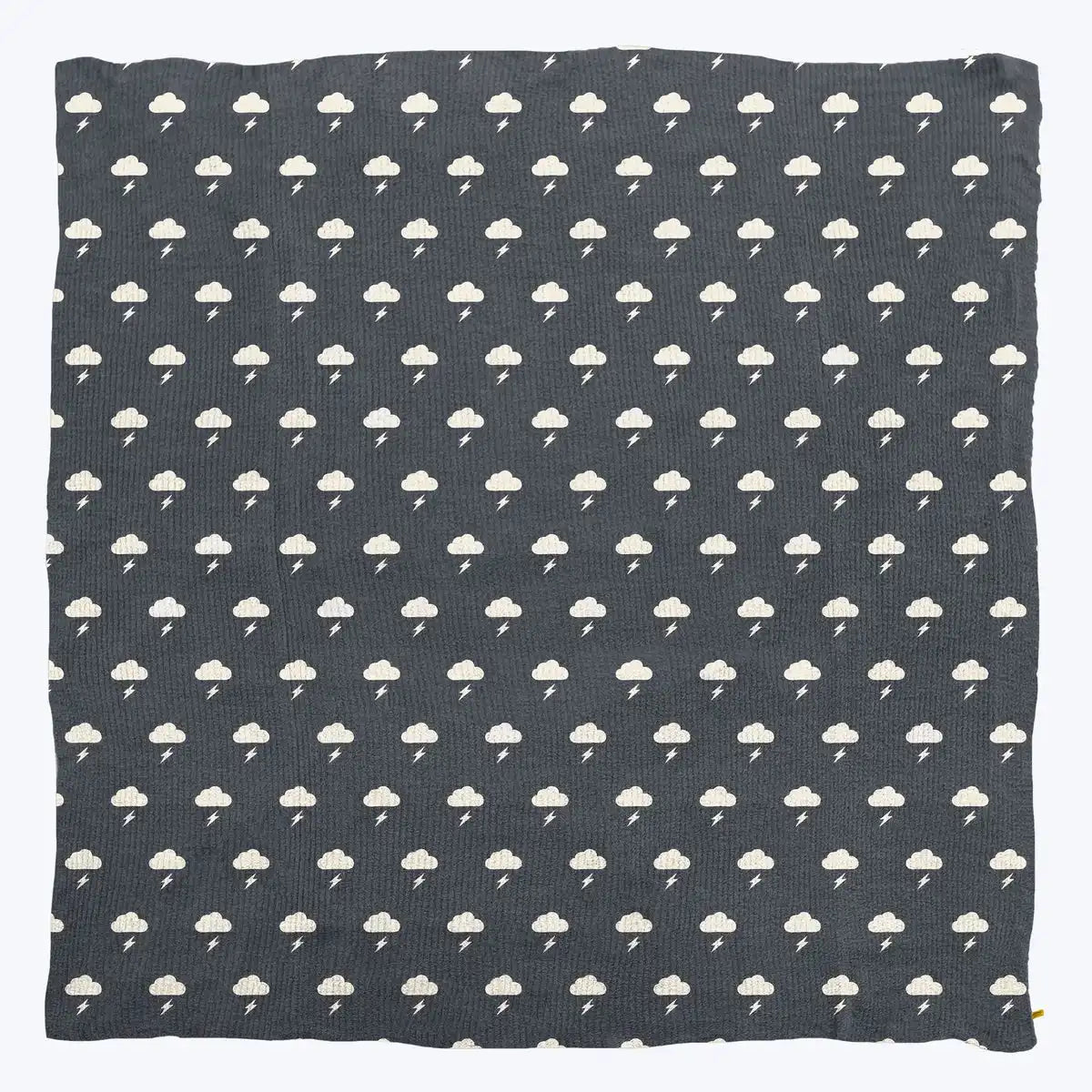 Premier Plush™ Blanket
