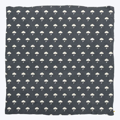 Premier Plush™ Blanket