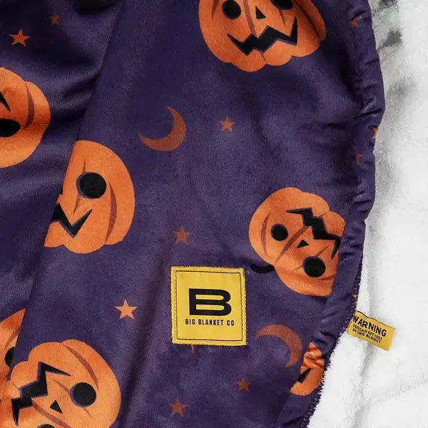 Factory Sale: Sherpa Stretch™ Blanket