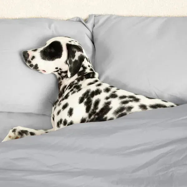 Sateen Dream™ Pillowcases