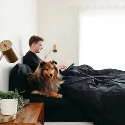 Sateen Dream™ Duvet Bundle