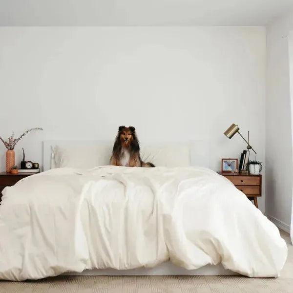 Sateen Dream™ Duvet Bundle