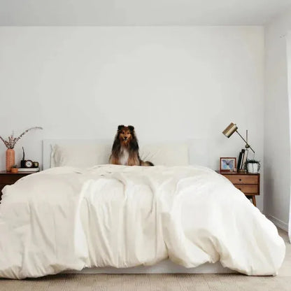 Sateen Dream™ Duvet Bundle