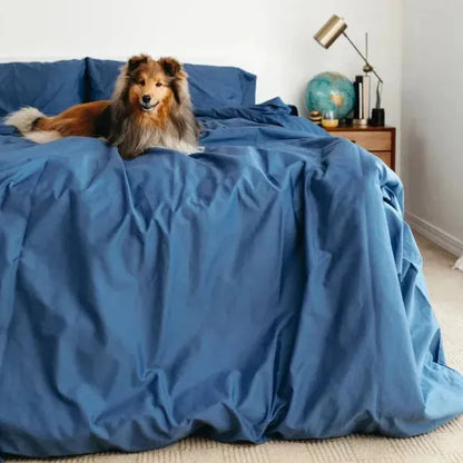 Sateen Dream™ Duvet Bundle