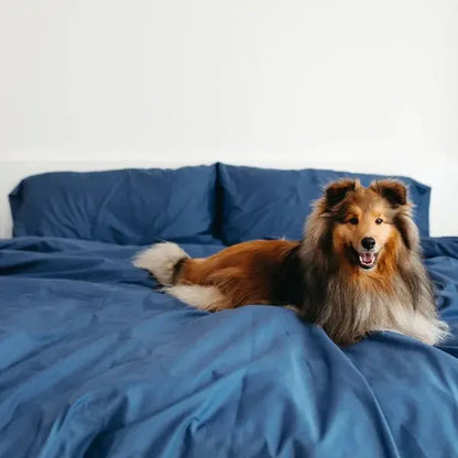 Sateen Dream™ Pillowcases
